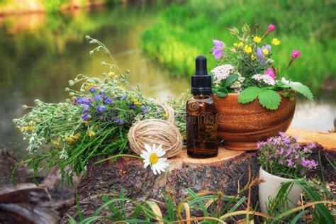 Grupo De Plantas Medicinales Y Cuencas De Hierbas Medicinales Secas Sobre Fondo Blanco Capa