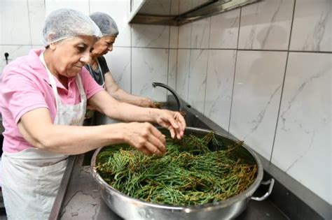 I Li Belediyesi Konserve At Lyesi D Zenledi