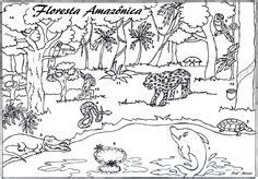 Desenho Da Fauna E Flora Brasileira Para Colorir - Animais Da Fauna Brasileira Para Colorir