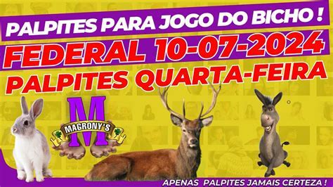 Palpites Para O Jogo Do Bicho Da Federal