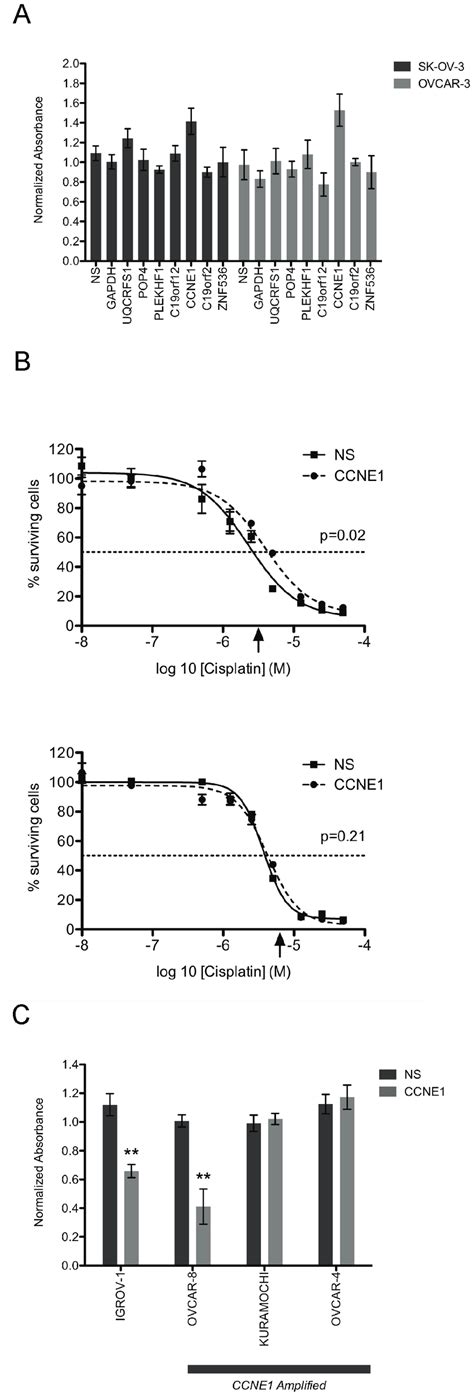 Combined SiRNA Knock Down And Cisplatin Treatment In Ovarian Tumor Cell