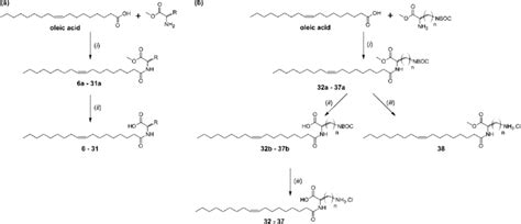 Scheme Synthesis Of N Acyl Amino Acids Without A Or With B