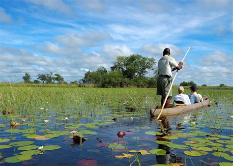 Guide to Botswana Honeymoons | Audley Travel UK