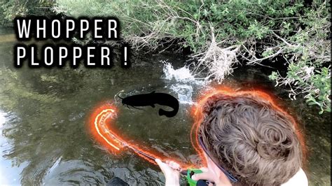 Je pêche des SILURES au WHOPPER PLOPPER YouTube