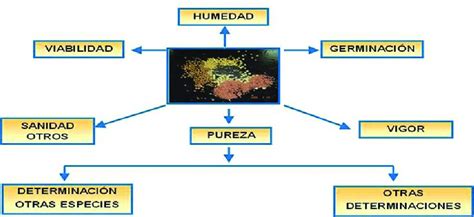 Análisis de laboratorios para determinar la calidad de semilla de soya