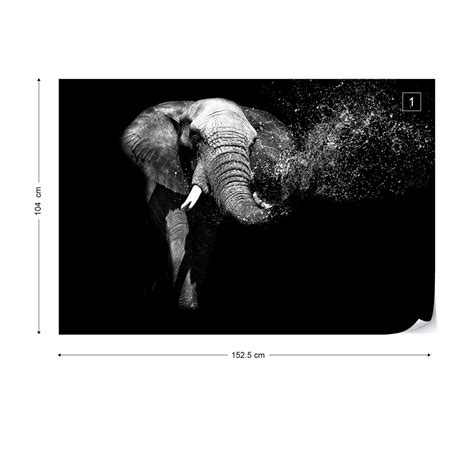 Carta Da Parati Black And White Elephant Europosters It