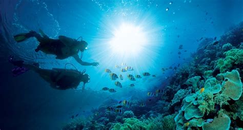 Best All Inclusives For Scuba Divers For 2024 Best All Inclusive