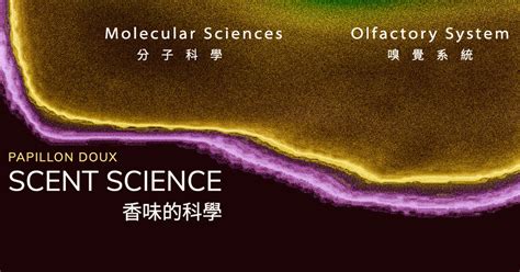 香りの科学 文章列表｜方格子 Vocus