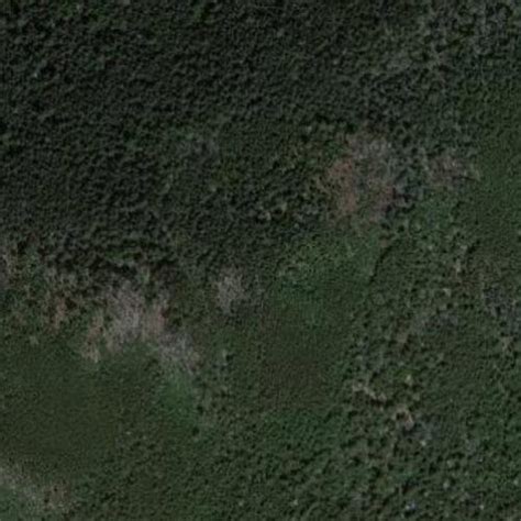 Mount Guyot (W4T/SU-002) in Cosby, TN (Google Maps)