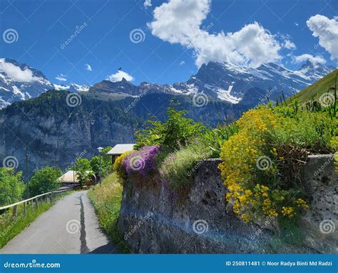 Scenic View Of Gimmelwald Village Stock Image Image Of Valley