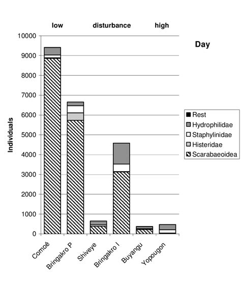 Abundance Of Beetles Inhabiting Ten 1 Kg Portions Of Bovid Dung Per