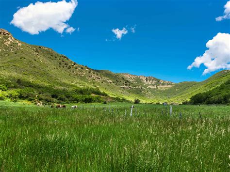 Up The Creek Ranch Silt Colorado Fay Ranches