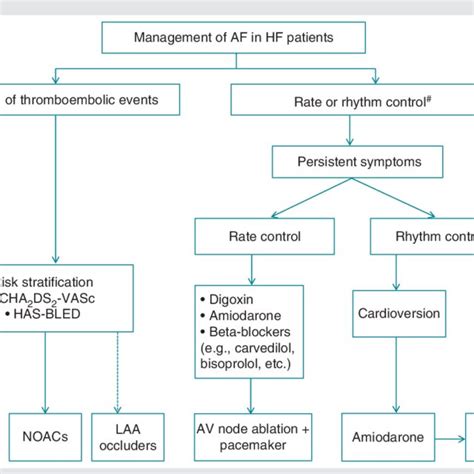 Management Of Atrial Fibrillation In Heart Failure Patients As Download Scientific Diagram