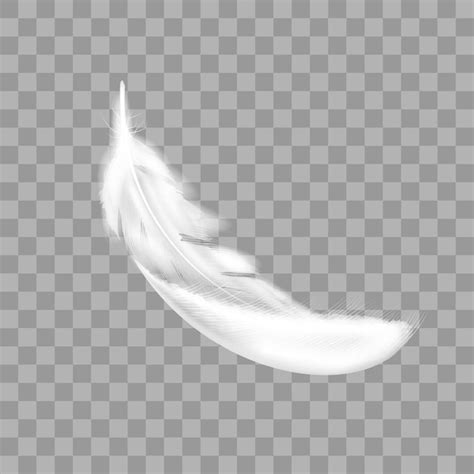 Premium Vector Vector White Bird Feathers Transparent Realistic