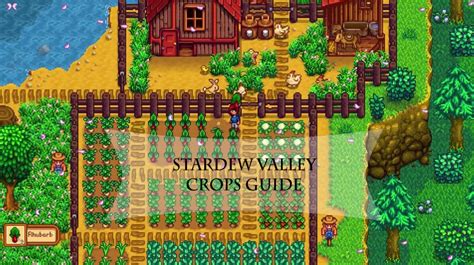 The Best Stardew Valley Wine Cellar – Best Collections Ever | Home ...