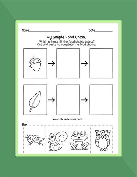 Science Worksheets For Preschool Worksheet24