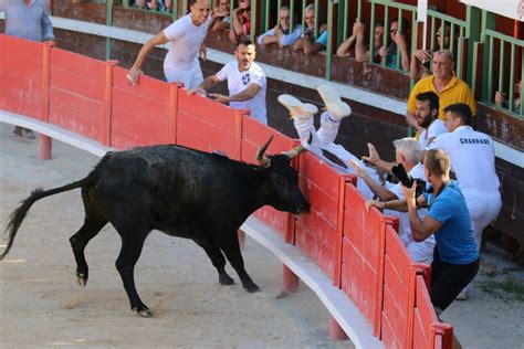 Belle clôture pour la fête du Club Taurin LAbrivado Voir Plus