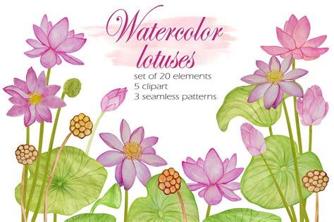 Set Of Pink Lotus Flowers Painted Graphic By Qwertfak Creative Fabrica