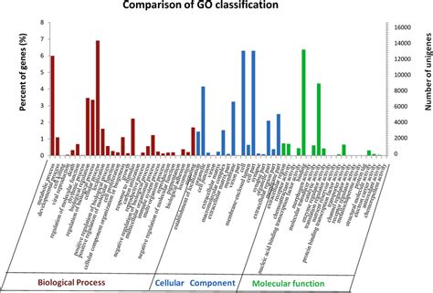 Histogram Of Gene Ontology Go Classification The Terms Were Download Scientific Diagram