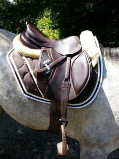 Id Es De Cwd Gs Saddle Cheval Selle Equitation Equipement Cheval