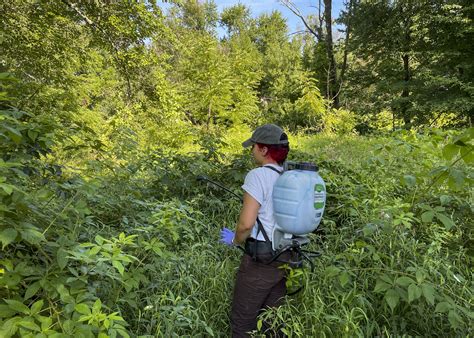 In fight against invasive plants, strike team stepped up when New