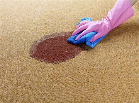 How To Clean Carpet Better Homes Gardens