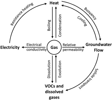 conceptual model   state variables bolded text