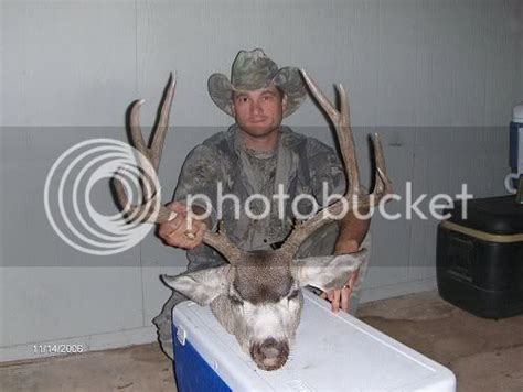 A Few Big Buck Photos Mule Deer Fanatic