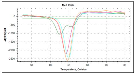 Brd2 1 Bromodomain Assay Service Thermoshift Reaction Biology