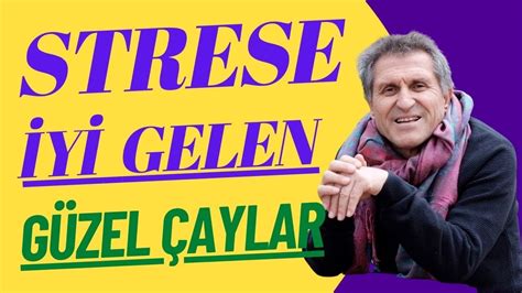 STRESE NE İYİ GELİR STRESE BAĞLI HASTALIKLARA STRESE İYİ GELEN ÇAYLAR