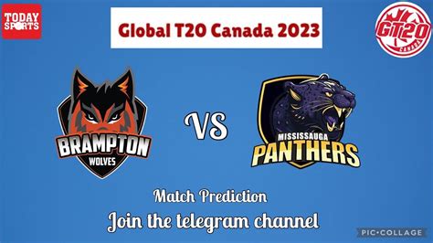 GT20 2023 Brampton Wolves Vs Mississauga Panthers 16th Match