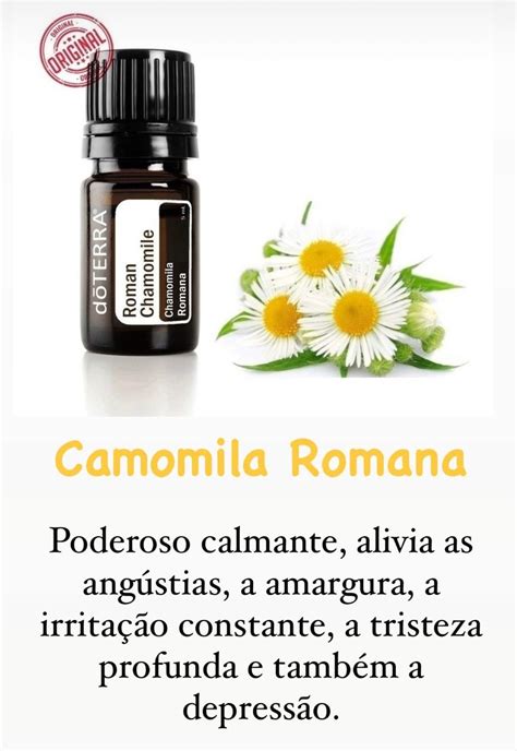 Pin De Anna Aquino Em Blends E Receitas Doterra Misturas De Leos