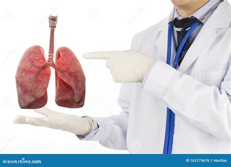 Doctor Check Respiratory Of Lung Stock Photo Image Of Cure Diagnosis