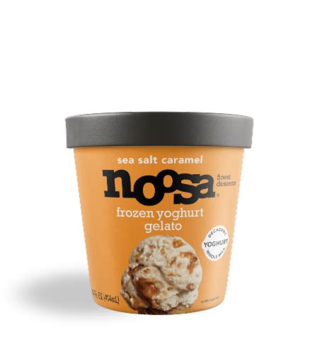 Noosa Sea Salt Caramel Frozen Yogurt Gelato Fl Oz Kroger