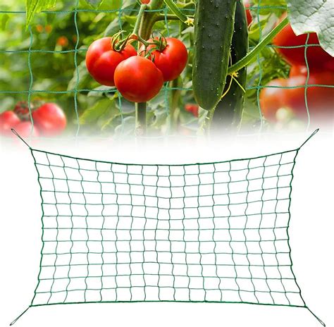 Filet Jardin Vert Filet Jardin Potager Filet De Treillis Pour Plantes