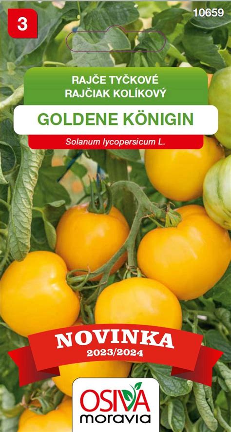 Semínka Rajče tyčkové Goldene Konigin Solanum lycopersicum koupit v OBI