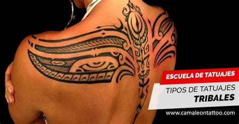 Tatuaje Tribal Celta En La Espalda