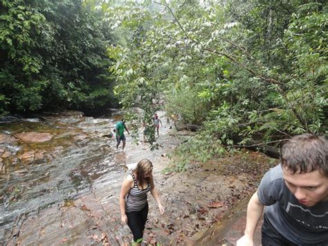 Senderismo Por Las Cascadas De Uduwara Y Nagadowa Getyourguide