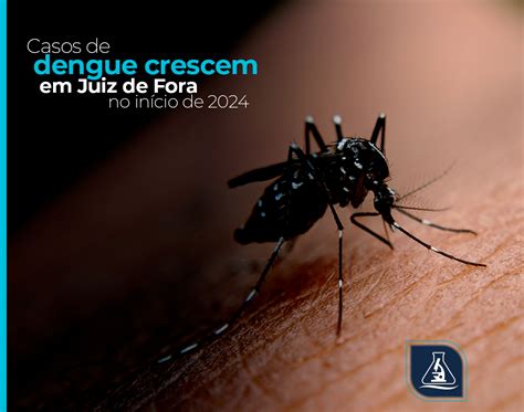 Laborat Rio Cavalieri Casos De Dengue Crescem Em Juiz De Fora No In Cio