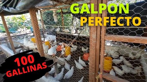 Como Hacer Un Galpon Casero Para Gallinas Y Pollos De Engorde F Cil