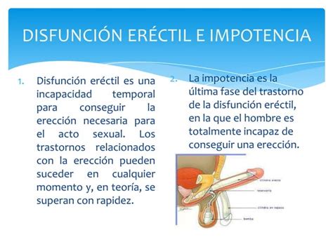 Disfuncion Erectil Ppt