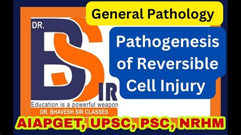 Pathogenesis Of Reversible Cell Injury General Pathology Pathology