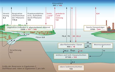 Kohlendioxidspeicher World Ocean Review