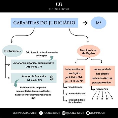 Garantias Do Judici Rio Esquema Geral Lic Nia Rossi