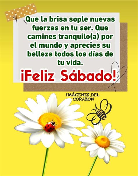 Total 47 imagen frases de buenos días feliz sábado Viaterra mx