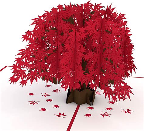 Buy Lovepop Japanese Maple Pop Up Card D Card Greeting Card