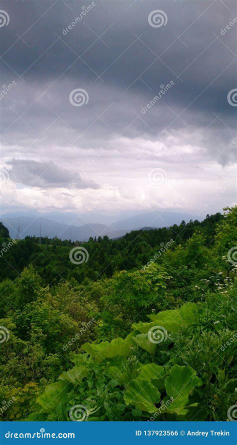 Mountain Forest View On Sky Background Stock Photo Image Of Trees