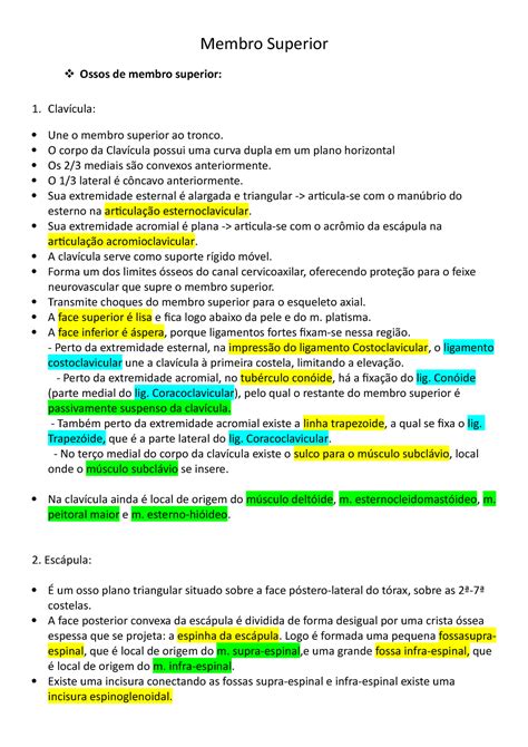 Anatomia Apostila Membro Superior Membro Superior Ossos De Membro