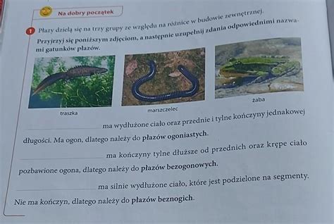 1 Płazy dzielą się na trzy grupy ze względu na różnice w budowie zewnęt