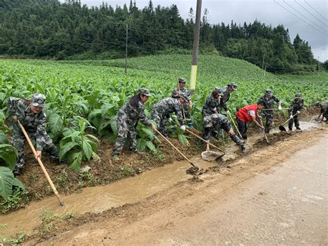 鹤峰麻水女子民兵连：冲在抗洪抢险最前沿 哪有女子不如男长江云 湖北网络广播电视台官方网站